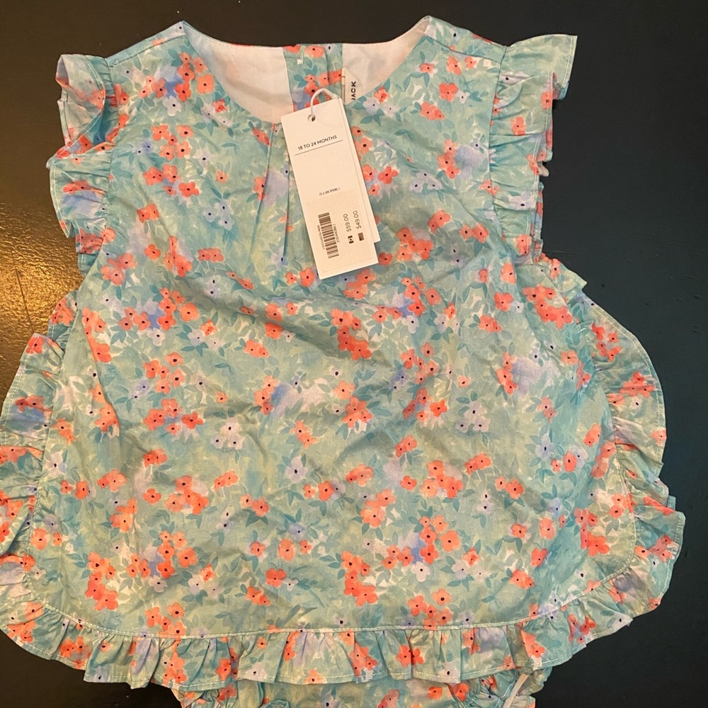 Janie and Jack Floral Ruffle Set - Light Blue and Orange